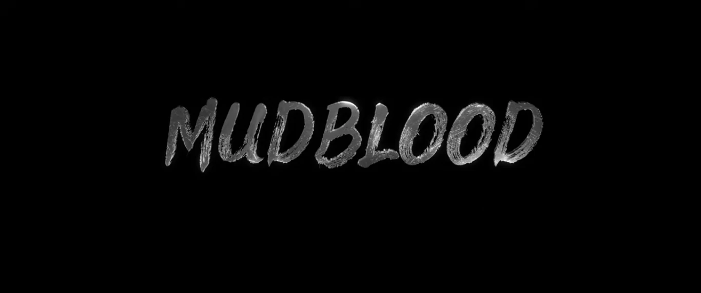(Updated) Harry Potter «Mudblood» fanfilm review